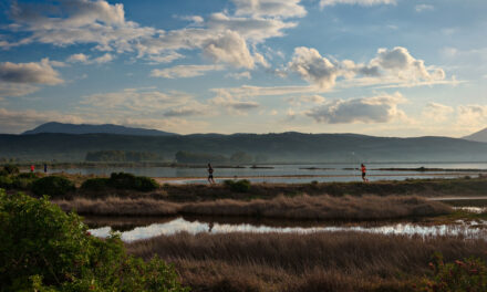 Μεσσηνία: Λάμψη Αστέρων στα 10 χρόνια του Navarino Challenge