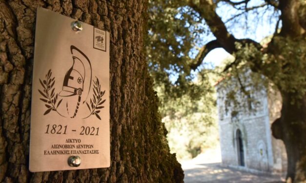 Τα αιωνόβια δέντρα της επανάστασης και η ιστορία τους διεκδικούν θέση στο Ευρετήριο Άυλης Κληρονομιάς της UNESCO