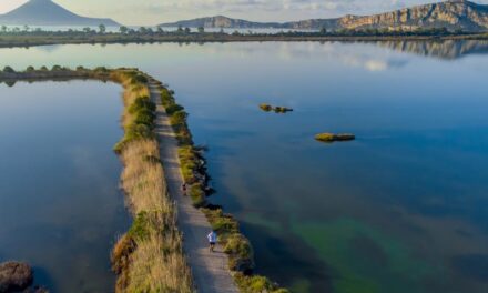 Η αθλητική γιορτή των 10 χρόνων Navarino Challenge