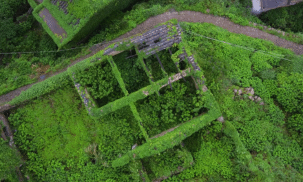 Houtouwan: Το ξεχασμένο χωριό της Κίνας που έχει καταπιεί η φύση