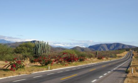 Σε αυτή την Εθνική Οδό κανείς δεν τολμά να ταξιδέψει – Δείτε γιατί