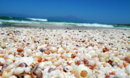 Απίστευτη καταγγελία:  Άμμος από το νησί Χρυσή πωλείται στο ebay… «χρυσάφι»