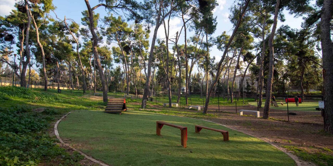 Δήμος Αθηναίων: Δύο νέα σύγχρονα dog parks δημιουργήθηκαν στο Άλσος Χωροφυλακής και στον Λόφο Λαμπράκη