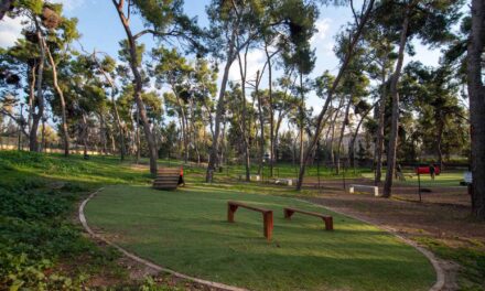 Δήμος Αθηναίων: Δύο νέα σύγχρονα dog parks δημιουργήθηκαν στο Άλσος Χωροφυλακής και στον Λόφο Λαμπράκη