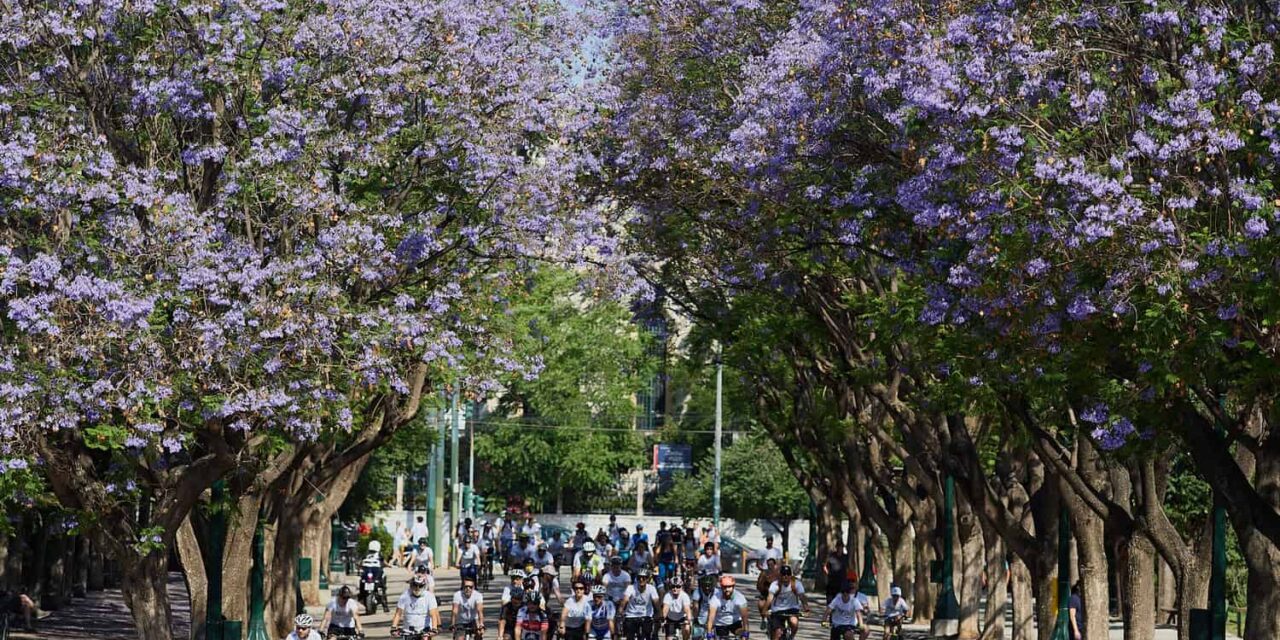 Τρέχουμε – Κάνουμε ποδήλατο και Ενημερωνόμαστε  στις 11 Ιουνίου στο Ζάππειο