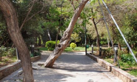 Δήμος Αθηναίων: Με κέφι, γέλιο και πολλά παιχνίδια γιορτάζεται η Γιορτή του Πατέρα στο Άλσος Παγκρατίου