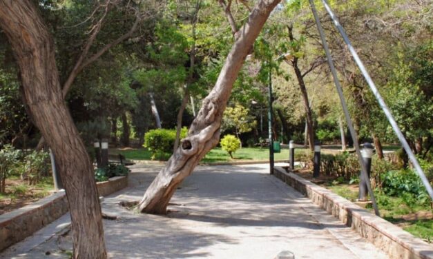 Δήμος Αθηναίων: Με κέφι, γέλιο και πολλά παιχνίδια γιορτάζεται η Γιορτή του Πατέρα στο Άλσος Παγκρατίου