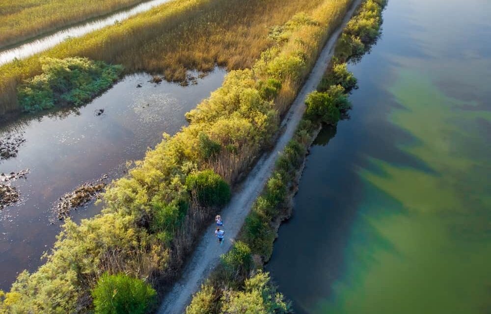 Άνοιξαν οι εγγραφές για το Navarino Challenge 2023