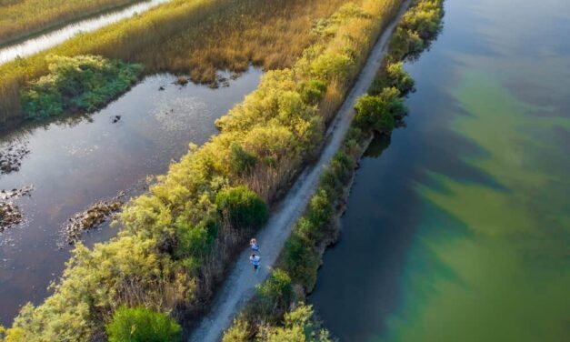 Άνοιξαν οι εγγραφές για το Navarino Challenge 2023