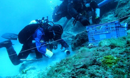 Νέα αρχαιολογικά ευρήματα στον θαλάσσιο χώρο του ναυαγίου των Αντικυθήρων