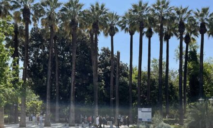 Ο ιστορικός Εθνικός Κήπος της Αθήνας αλλάζει εποχή