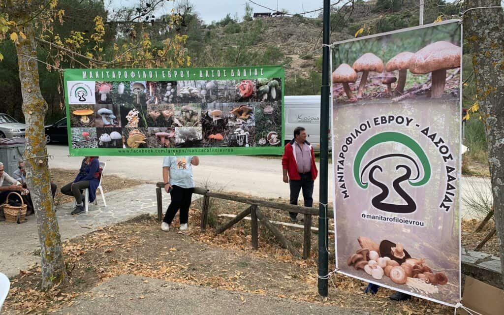 Έρχεται η 13η Γιορτής Μανιταριού στο Δάσος Δαδιάς