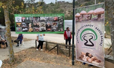 Έρχεται η 13η Γιορτής Μανιταριού στο Δάσος Δαδιάς