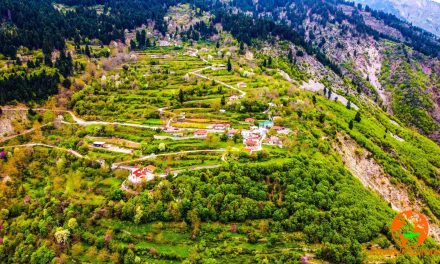 Τρίδενδρο, το υπέροχο χωριό στο χείλος του γκρεμού με θέα στον Αγραφιώτη (vid)