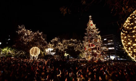 Φωταγωγήθηκε το εντυπωσιακό χριστουγεννιάτικο δέντρο στην Πλατεία Συντάγματος