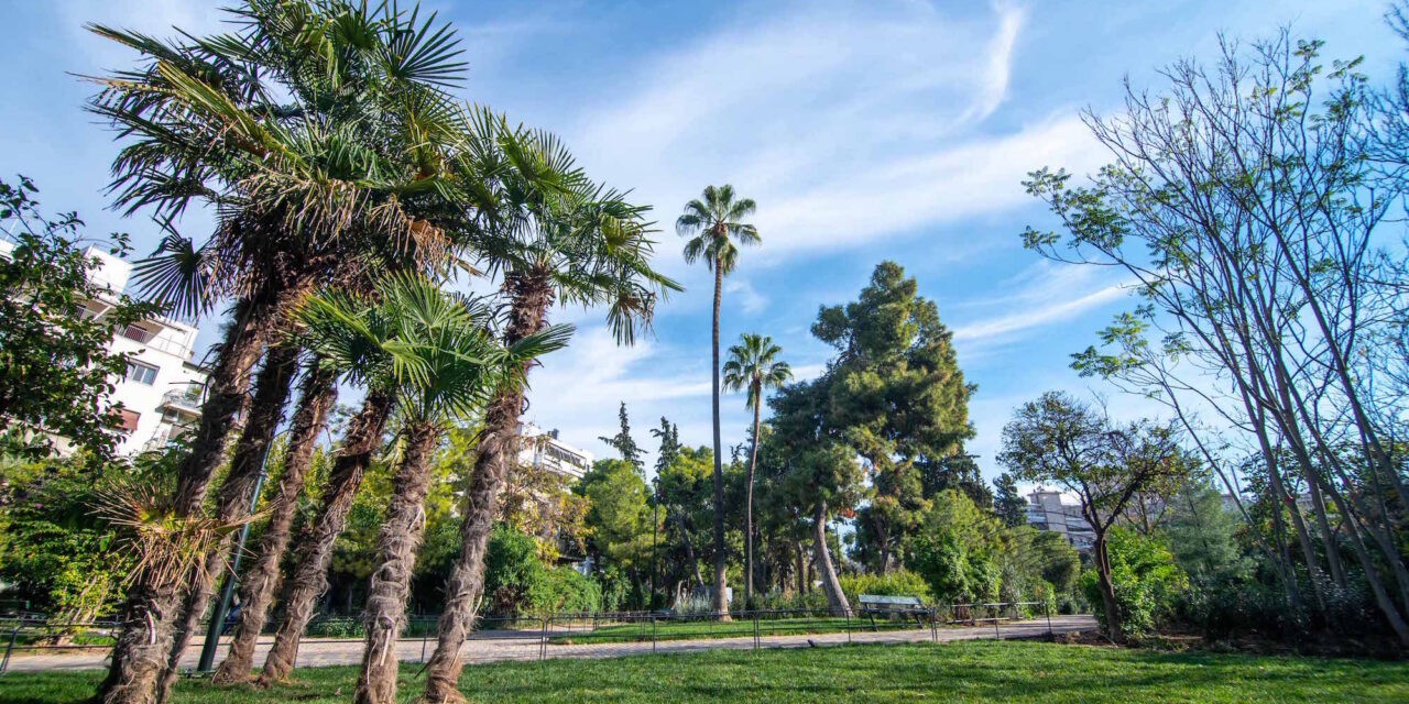 Δήμος Αθηναίων: Το πάρκο Δρακόπουλου παραδίδεται στη γειτονιά αναβαθμισμένο, ασφαλές και φωτεινό