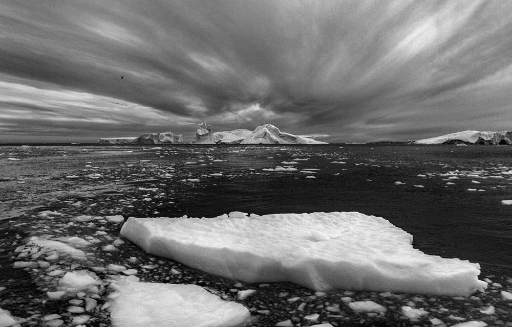 Ποιες εικαστικές εκθέσεις θα δούμε στην Πινακοθήκη και στο Κέντρο Τεχνών του Δήμου Αθηναίων