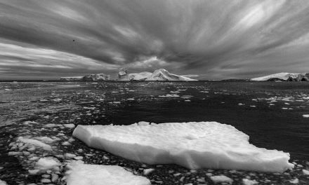 Ποιες εικαστικές εκθέσεις θα δούμε στην Πινακοθήκη και στο Κέντρο Τεχνών του Δήμου Αθηναίων