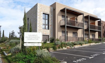 To «café-NEO» του Navarino Environmental Observatory, έρχεται για πρώτη φορά  στην Αθήνα