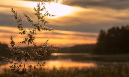 Μεσολόγγι: Ένας τόπος με φυσικό, ιστορικό και πολιτιστικό πλούτο