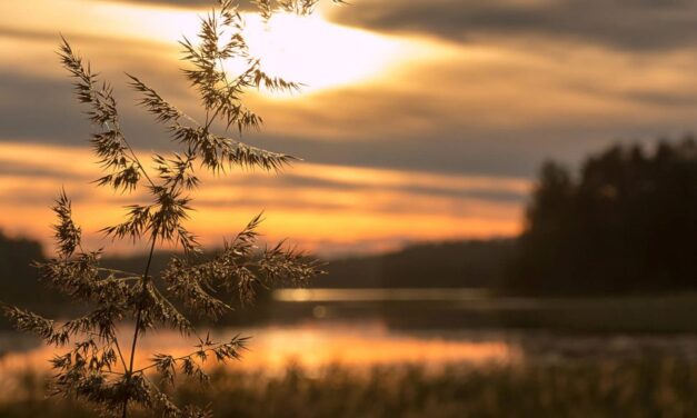 Μεσολόγγι: Ένας τόπος με φυσικό, ιστορικό και πολιτιστικό πλούτο