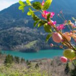 Πάσχα στη Ζάκυνθο: Ανακαλύπτοντας τα ήθη και τα έθιμα του νησιού