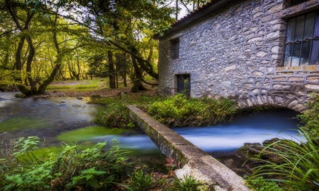 Πλανητέρο: Το παραμυθένιο πλατανόδασος της Αχαΐας