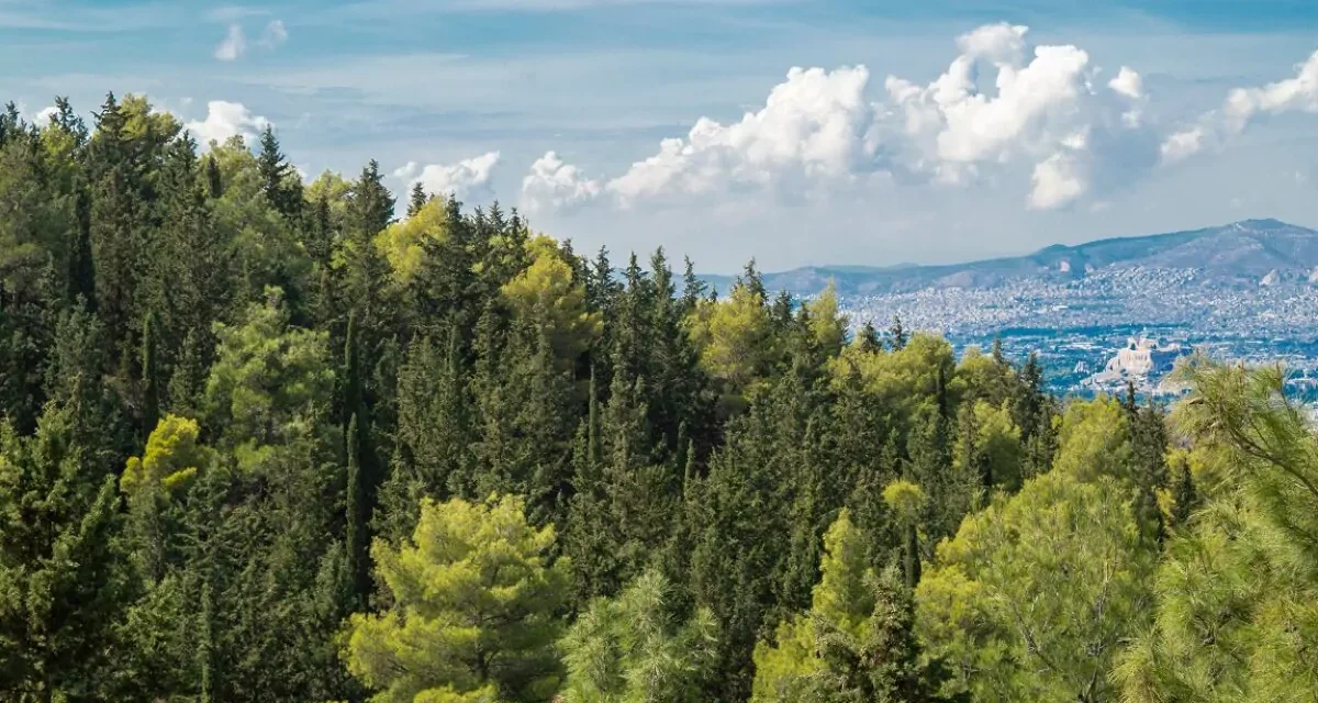 Ξεκινούν τα Διανησιωτικά Δίκτυα Μονοπατιών με αφετηρία τον Υμηττό