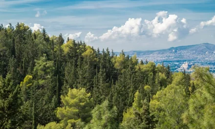 Ξεκινούν τα Διανησιωτικά Δίκτυα Μονοπατιών με αφετηρία τον Υμηττό