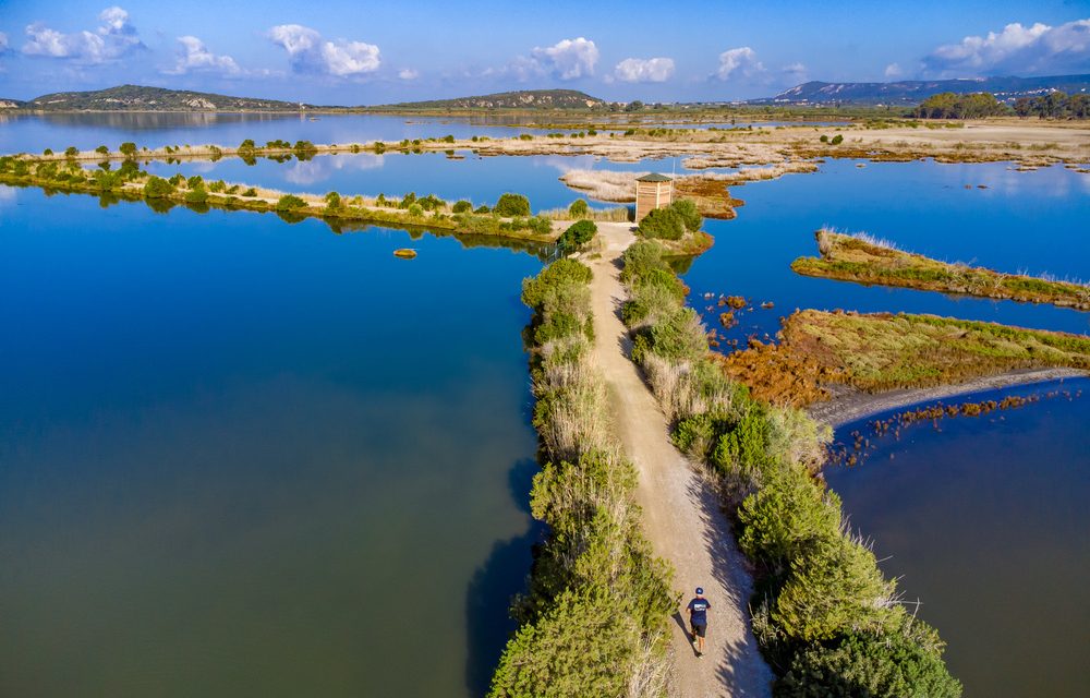 Σπουδαίες Δράσεις για την Εκπαίδευση, την Οδική Ασφάλεια και το Περιβάλλον στο Navarino Challenge 2024