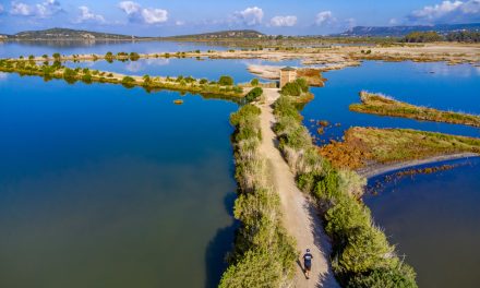 Σπουδαίες Δράσεις για την Εκπαίδευση, την Οδική Ασφάλεια και το Περιβάλλον στο Navarino Challenge 2024