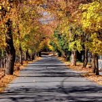 Ο “δρόμος της αγάπης” βρίσκεται μόλις 2 ώρες μακρυά από την Αθήνα σε ένα παραμυθένιο χωριό