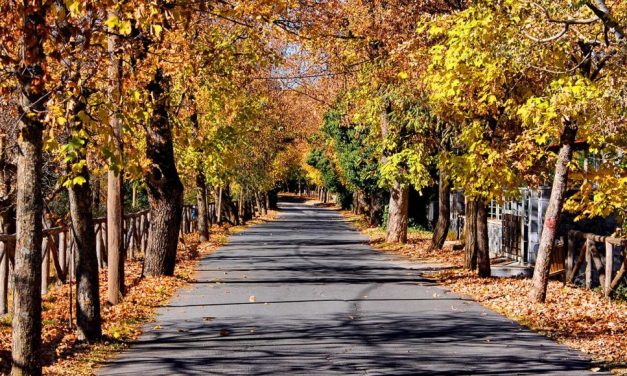 Ο “δρόμος της αγάπης” βρίσκεται μόλις 2 ώρες μακρυά από την Αθήνα σε ένα παραμυθένιο χωριό