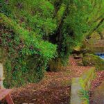 Μία άγνωστη γωνιά της Κορινθίας που εντυπωσιάζει – Τρεχούμενα νερά, πυκνά δάση και γραφικές λίμνες