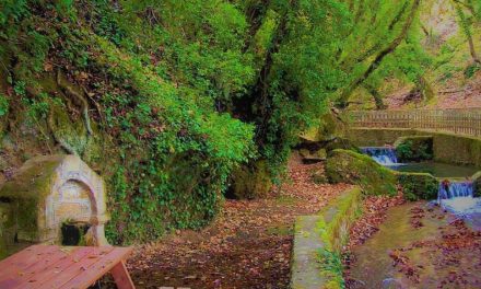 Μία άγνωστη γωνιά της Κορινθίας που εντυπωσιάζει – Τρεχούμενα νερά, πυκνά δάση και γραφικές λίμνες