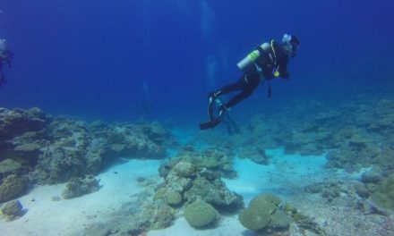 Υπ. Τουρισμού: Πρόσκληση υποβολής αιτήσεων ενίσχυσης καταδυτικού τουρισμού