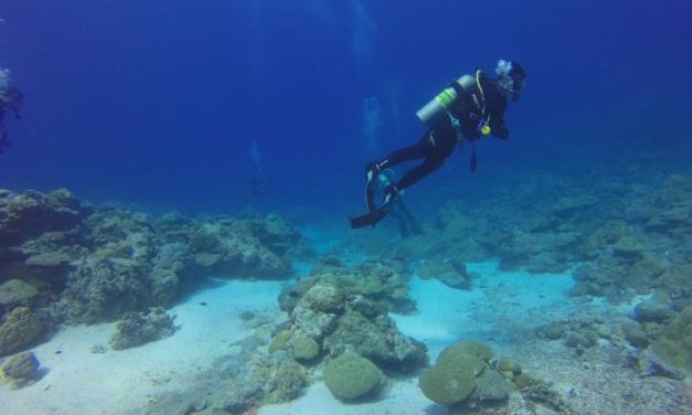 Υπ. Τουρισμού: Πρόσκληση υποβολής αιτήσεων ενίσχυσης καταδυτικού τουρισμού