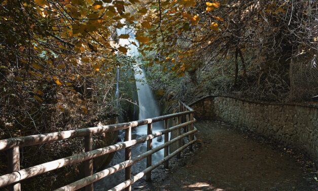 Αγόριανη: Ονειρική απόδραση στην αγκαλιά του Παρνασσού
