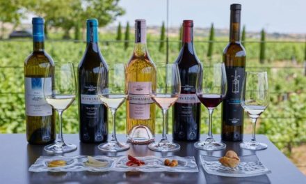 Η ελληνική κρουαζιέρα και ο οινικός τουρισμός προβάλλεται στην Ιαπωνία