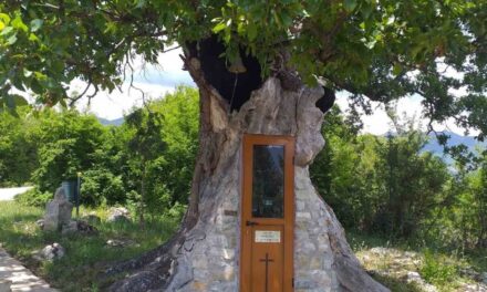 Το μικροσκοπικό εκκλησάκι που εντυπωσιάζει – Βρίσκεται μέσα σε ένα υπεραιωνόβιο δέντρο