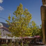 Βυτίνα: Η αρχόντισσα του Μαινάλου