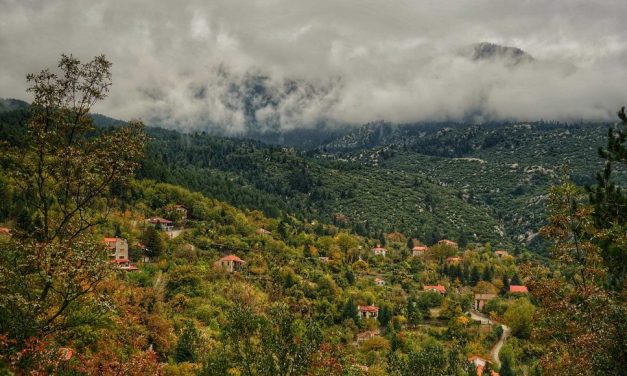 Πολύδροσος, η ήρεμη δύναμη του Παρνασσού