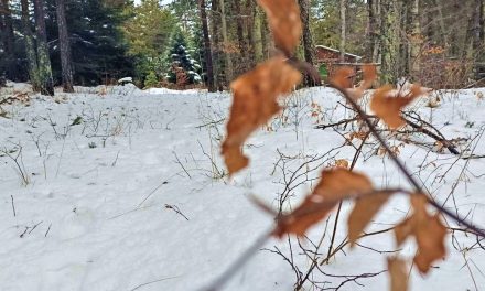 Δάσος Λαϊλιά: Απόδραση στον παράδεισο των Σερρών!