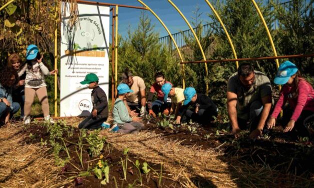 ΔΕΗ και Open Farm προωθούν τη βιώσιμη γεωργία στους μαθητές μέσω του “Carbon Farming Schools”
