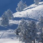 Βασιλίτσα: Ο ορεινός παράδεισος των Γρεβενών