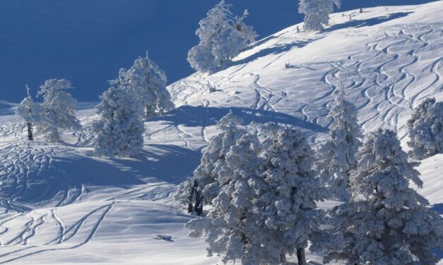 Βασιλίτσα: Ο ορεινός παράδεισος των Γρεβενών