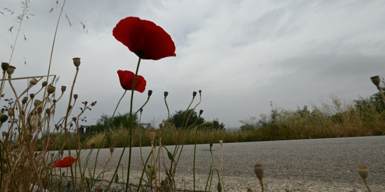 Άστατος ο καιρός σήμερα – Που θα βρέξει