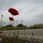 Καιρός: Σκόνη, λασποβροχές και πτώση της θερμοκρασίας σήμερα