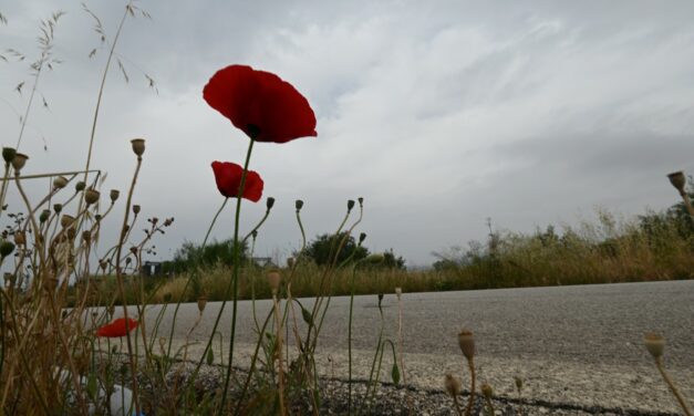 Καιρός: Σκόνη και λασποβροχές σήμερα – Που θα βρέξει