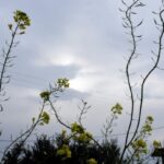 Χειμωνιάτικο το σκηνικό του καιρού και σήμερα